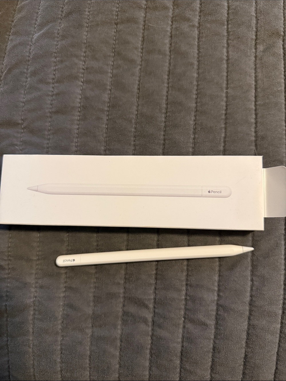Apple White Pencil Stylus for iPad USB-C